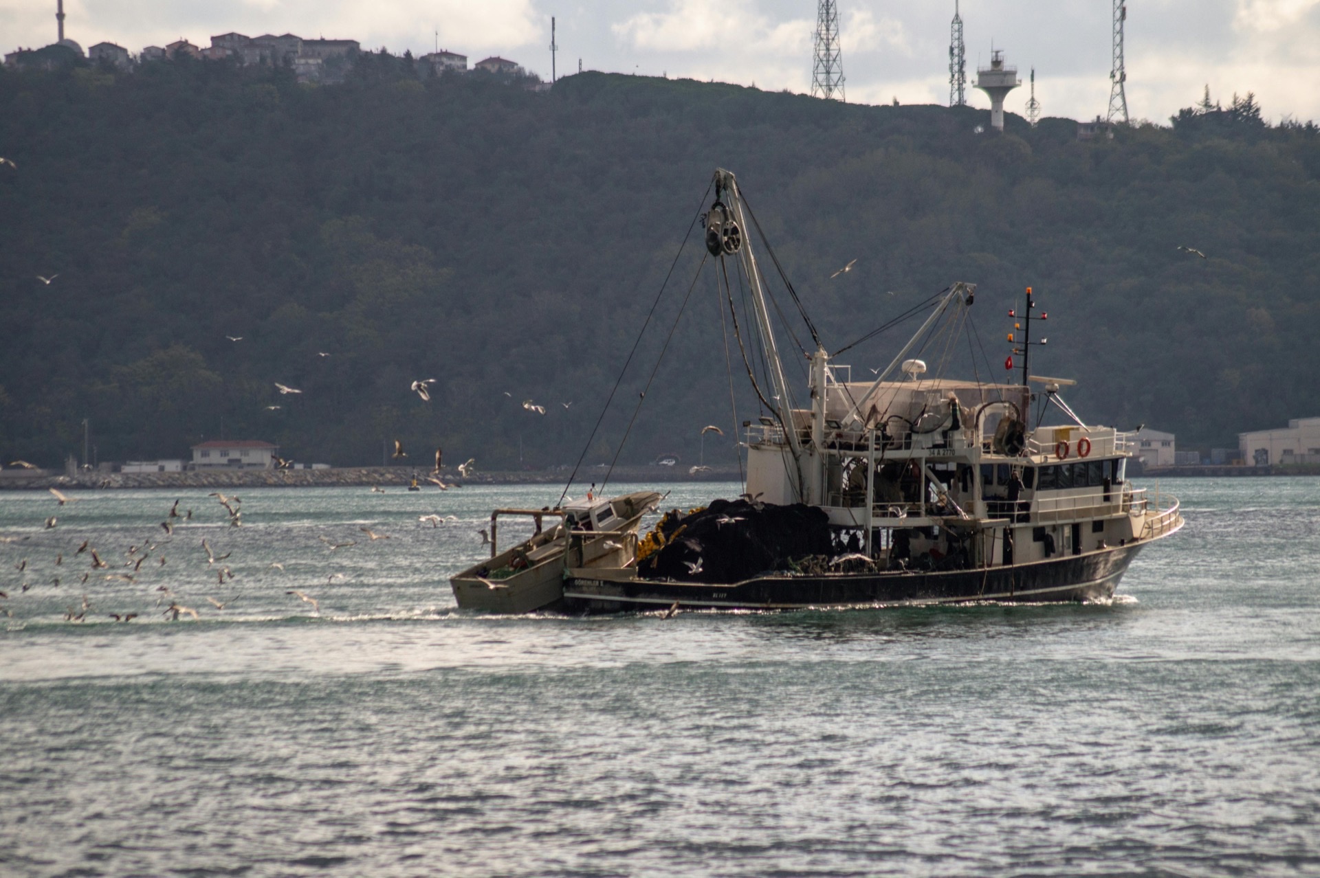 Desafío de sostenibilidad
